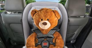Car Seat Teddy